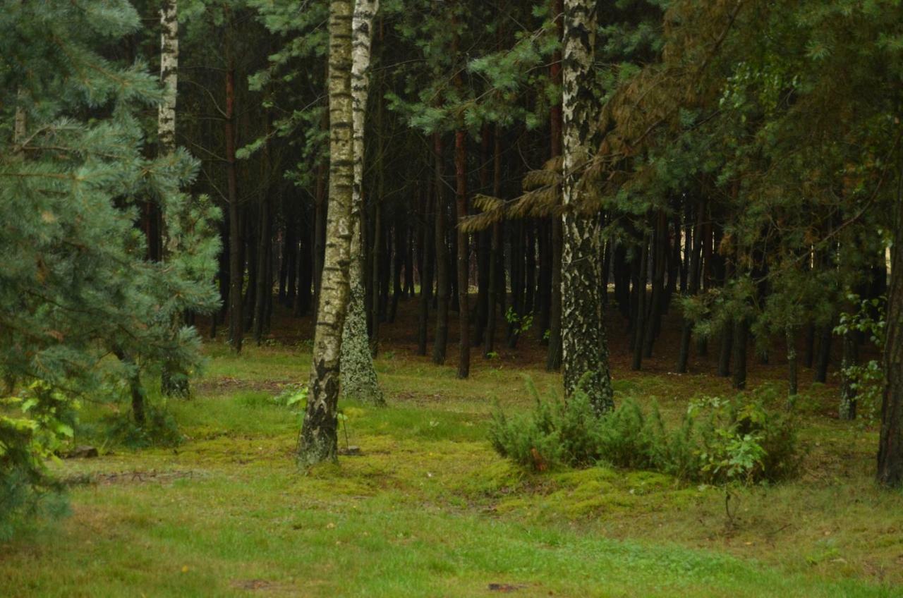 Vila Zofijowka Osjaków Exteriér fotografie