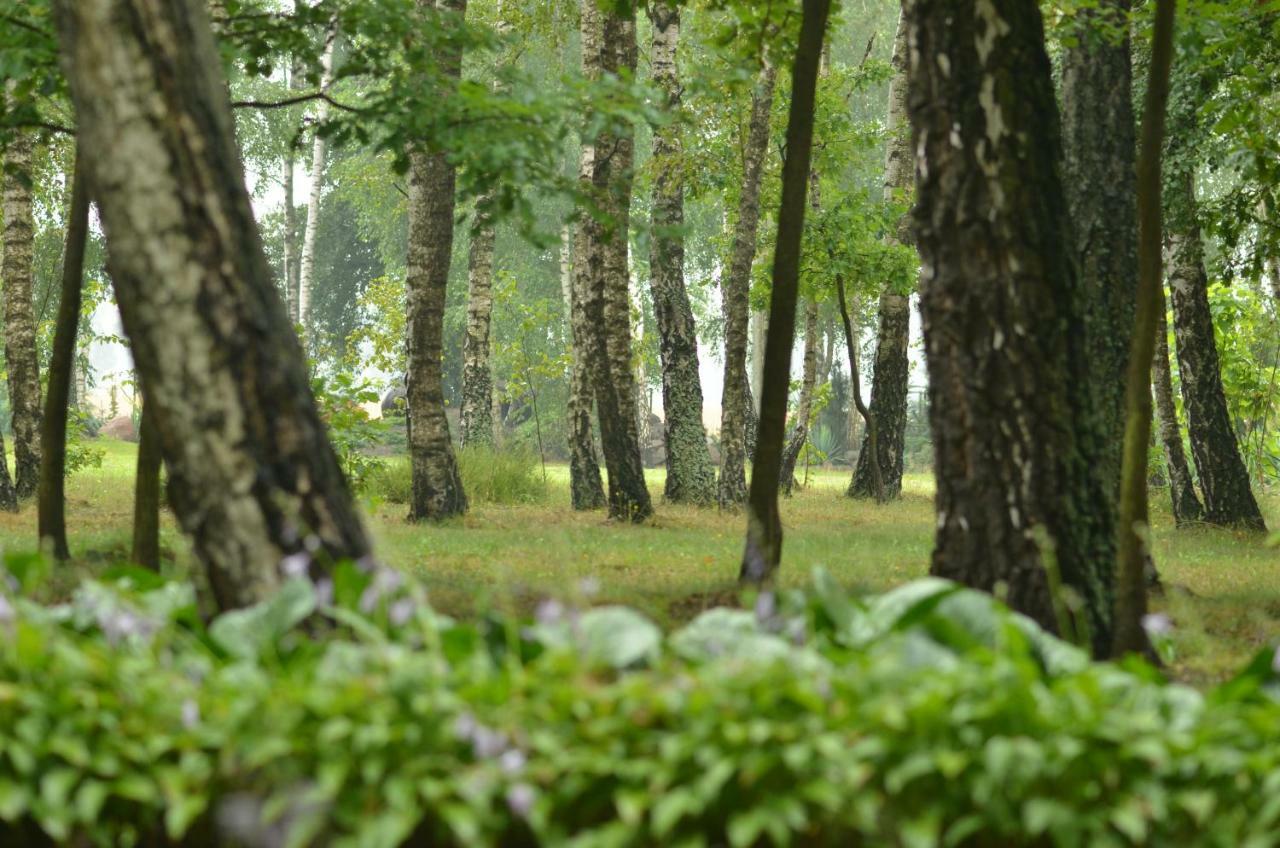 Vila Zofijowka Osjaków Exteriér fotografie